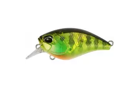 Воблер DUO Realis Crank Mid Roller 40mm 5.3g AJA3055 Chart Gill Halo (34.36.39) - Фото