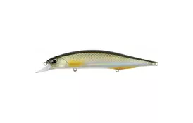 Воблер DUO Realis Jerkbait 120SP Pike 120mm 17.8g ANA3261 Silver Roach (34.32.08) - Фото