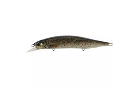 Воблер DUO Realis Jerkbait 120SP Pike 120mm 17.8g CCC3815 Brown Trout N (34.27.86) - Фото