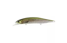 Воблер DUO Realis Jerkbait 120SP Pike 120mm 17.8g CCC3836 Rainbow Trout (34.27.87) - Фото