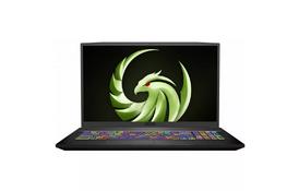 Ноутбук MSI Bravo (A4DDK-091XUA) - Фото
