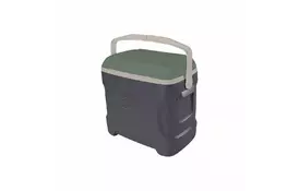 Термобокс Igloo Sportsman 30 (0342234419822) - Фото