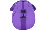 Сумка дорожная AirOn Bagland Oblivion 27 л Violet (4821784622163)