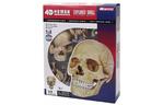 Пазл 4D Master Объемная анатомическая модель Череп человека (FM-626111)