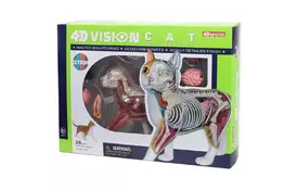 Пазл 4D Master Объемная анатомическая модель Кот рыжий табби (FM-622005) - Фото