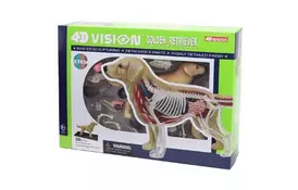 Пазл 4D Master Объемная анатомическая модель Собака золотистый ретривер (FM-622007) - Фото