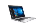 Ноутбук HP ProBook 455 G7 (7JN02AV_V17)