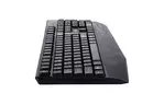 Клавиатура Ergo K-230 USB Black (K-230USB)