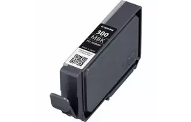 Картридж Canon PFI-300 Matte Black (4192C001) - Фото