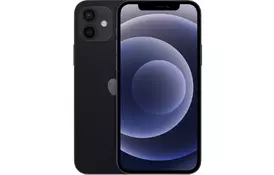Мобильный телефон Apple iPhone 12 256Gb Black (MGJG3) - Фото