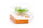 Интерактивная игрушка HEXBUG Нано-робот Micro Ant, зеленый (409-6389 green)