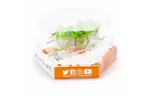 Интерактивная игрушка HEXBUG Нано-робот Micro Ant, зеленый (409-6389 green)