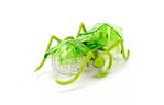 Интерактивная игрушка HEXBUG Нано-робот Micro Ant, зеленый (409-6389 green)