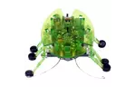 Интерактивная игрушка HEXBUG Нано-робот Beetle, зеленый (477-2865 green)