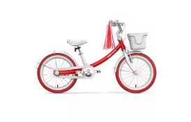 Детский велосипед Xiaomi Ninebot Kids Bike 16