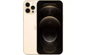Мобильный телефон Apple iPhone 12 Pro Max 128Gb Gold (MGD93) - Фото