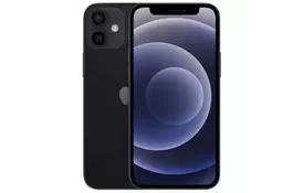 Мобильный телефон Apple iPhone 12 mini 256Gb Black (MGE93) - Фото
