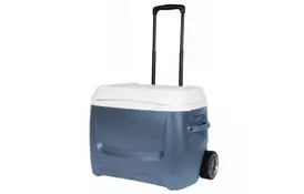 Термобокс Igloo Island Breeze MaxCold 50 R (45071) - Фото