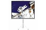 Проекционный экран на треноге 1:1 112'' (200*200 см) Lumi PSDB112