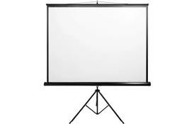 Проекционный экран на треноге 1:1 112'' (200*200 см) Lumi PSDB112 - Фото