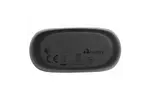 Наушники JBL Live Free NC+ Black (JBLLIVEFRNCPTWSB)