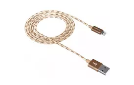 Дата кабель USB 2.0 AM to Lightning 1.0m Gold CANYON (CNE-CFI3GO) - Фото