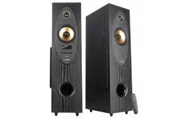 Акустическая система F&D T-35X Black - Фото