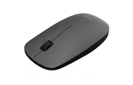 Мышка Acer AMR020 Wireless RF2.4G Space Gray Retail pack (GP.MCE11.01B) - Фото
