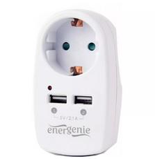 Зарядное устройство EnerGenie 2 USB x 2.1A (EG-ACU2-02)