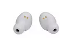 Наушники JBL Tune 115 TWS White (JBLT115TWSWHT)
