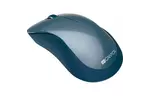 Мышка CANYON MW-11 Wireless Pixart Blue (CNE-CMSW11BL)