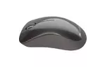 Мышка CANYON MW-911 Wireless Pixart Dark Grey (CNS-CMSW911DG)