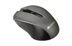 Мышка CANYON MW-1 Wireless Gray (CNE-CMSW1G)