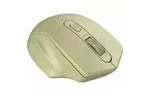 Мышка CANYON MW-15 Wireless Golden (CNE-CMSW15GO)