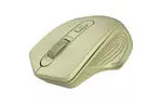 Мышка CANYON MW-15 Wireless Golden (CNE-CMSW15GO)