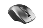 Мышка CANYON MW-21 Wireless Blue LED Dark gray (CNS-CMSW21DG)