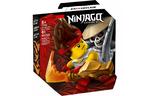 Конструктор LEGO Ninjago Грандиозная битва Кай против армии скелетов 61 детал (71730)