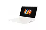 Ноутбук Acer ConceptD 3 CN315-72G (NX.C5XEU.004)