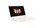 Ноутбук Acer ConceptD 3 CN315-72G (NX.C5XEU.004)