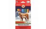 Карандаши цветные Koh-i-Noor Triocolor Jumbo Horses 24 цветов (3144)