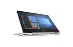 Ноутбук HP ProBook x360 435 G7 (8RA66AV_V2)