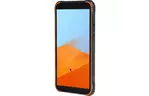 Мобильный телефон Blackview BV4900 3/32GB Orange (6931548306467)