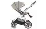 Коляска BabyStyle 2 в 1 Oyster 3 Pebble (O3CHPEB/O3CCPEB)
