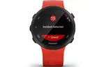 Смарт-часы Garmin Forerunner 45, Large, Lava Red (010-02156-16)