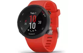 Смарт-часы Garmin Forerunner 45, Large, Lava Red (010-02156-16) - Фото