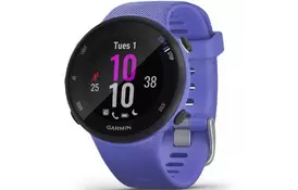 Смарт-часы Garmin Forerunner 45, Small, Iris (010-02156-11) - Фото
