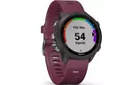 Смарт-часы Garmin Forerunner 245, Black/Berry (010-02120-11)