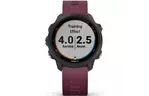 Смарт-часы Garmin Forerunner 245, Black/Berry (010-02120-11)