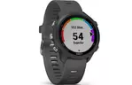 Смарт-часы Garmin Forerunner 245, Black/Slate (010-02120-10)