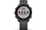 Смарт-часы Garmin Forerunner 245, Black/Slate (010-02120-10)